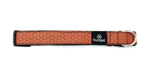 Bubbles | Dog Collar