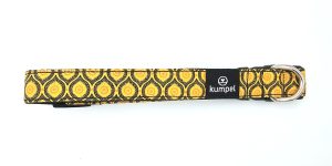 Wally | Dog Collar