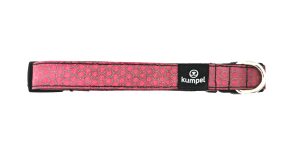Maya | Dog Collar